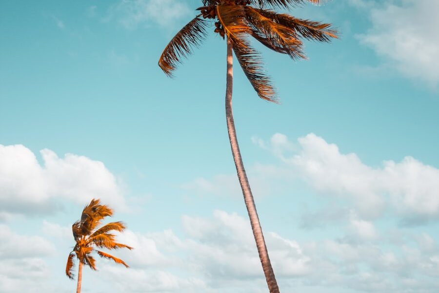 Punta Cana