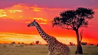 Kenia Safari Spa